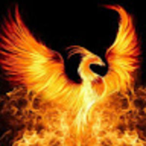 Meet your Posher, Mia